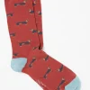 FatFace 1 Pack Dachshund Socks|Men View All