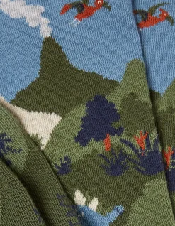 FatFace 1 Pack Dinosaur Scene Socks|Men View All