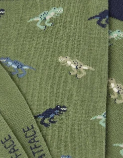 FatFace 1 Pack Dinosaur Socks|Men View All