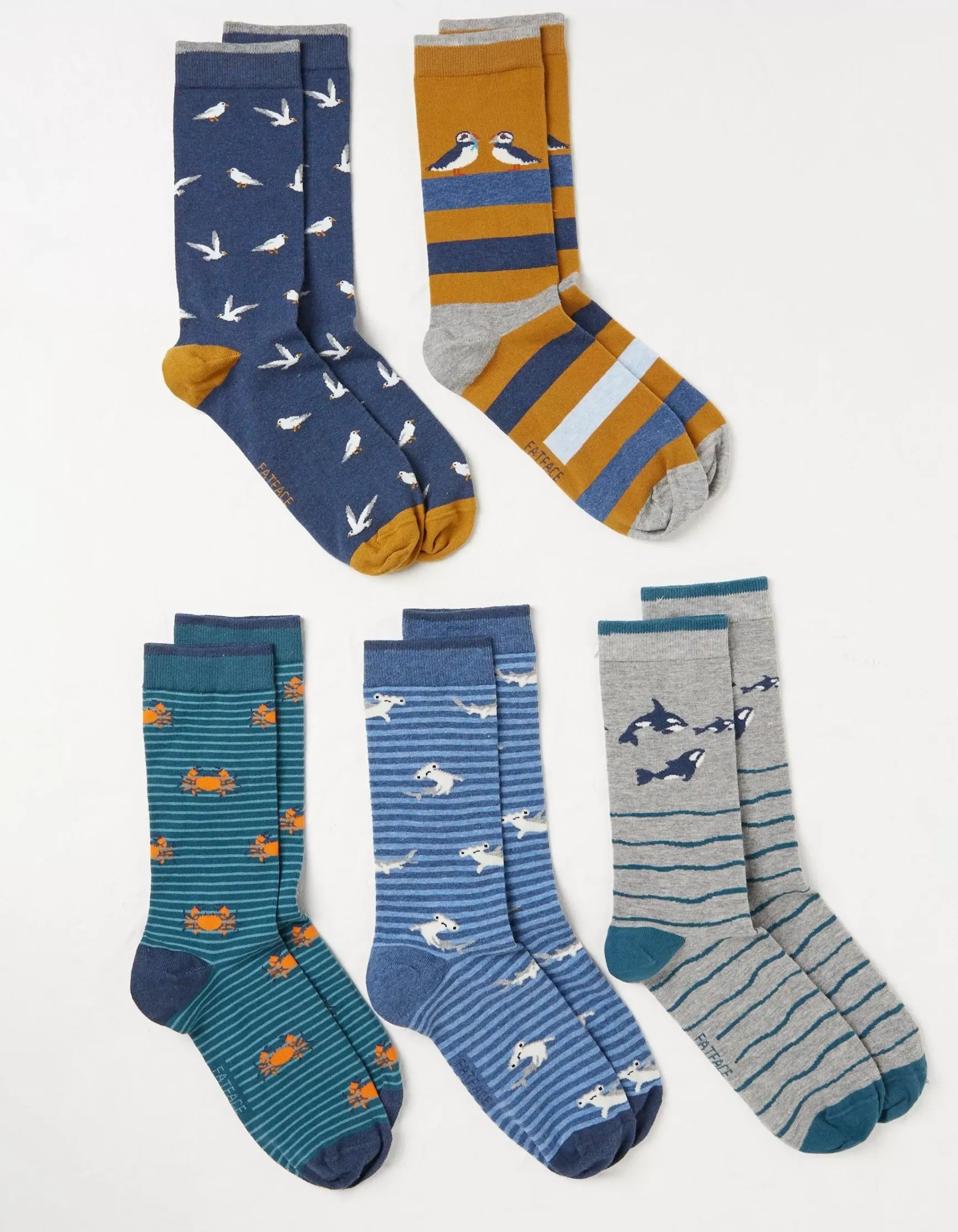 FatFace 5 Pack Sea Animals Socks|Men View All