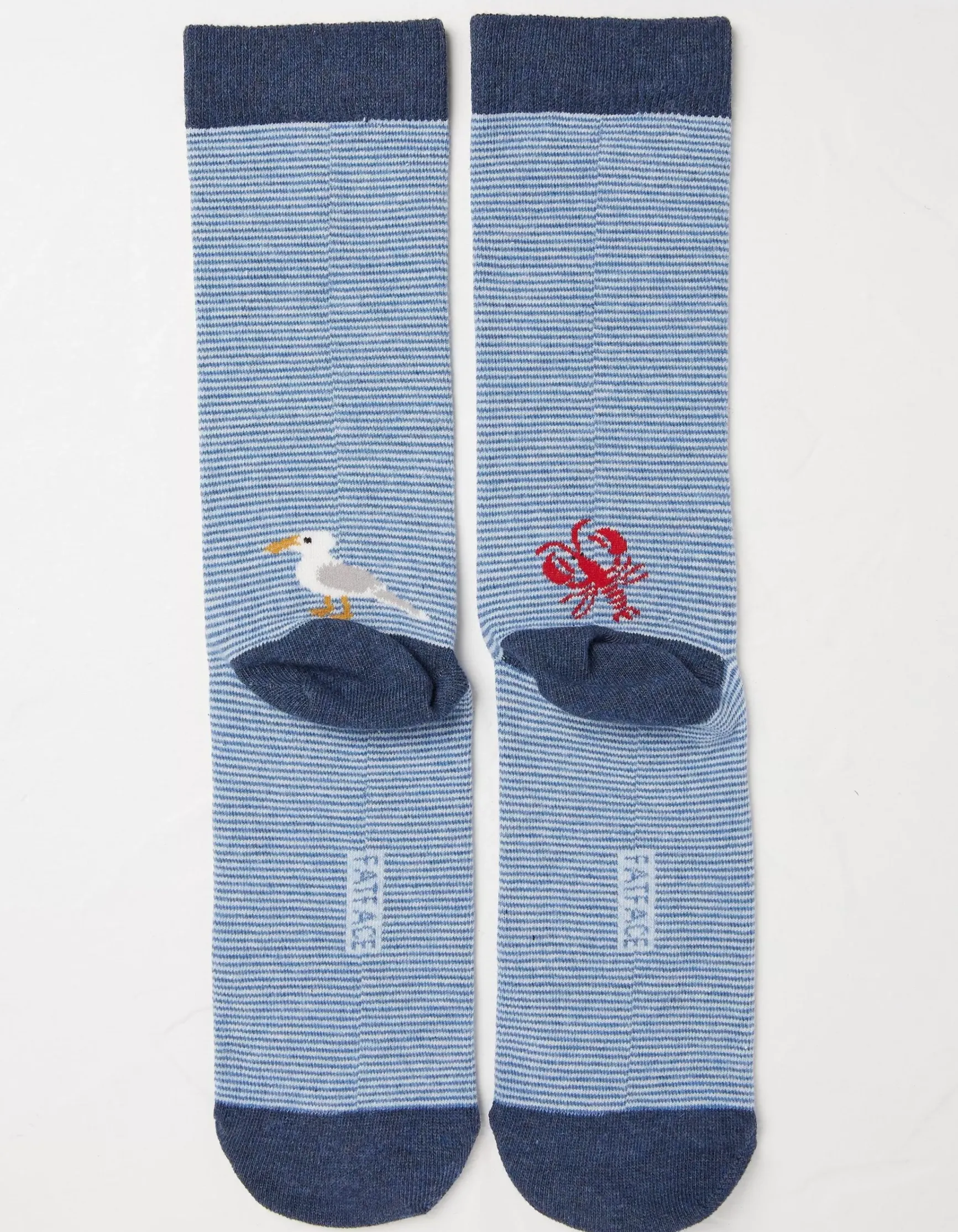 FatFace 1 Pack Sealife Stripe Socks|Men View All