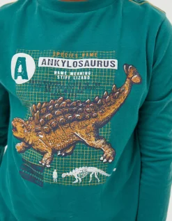 FatFace Ankylosaurus Graphic T Shirt|Boys View All