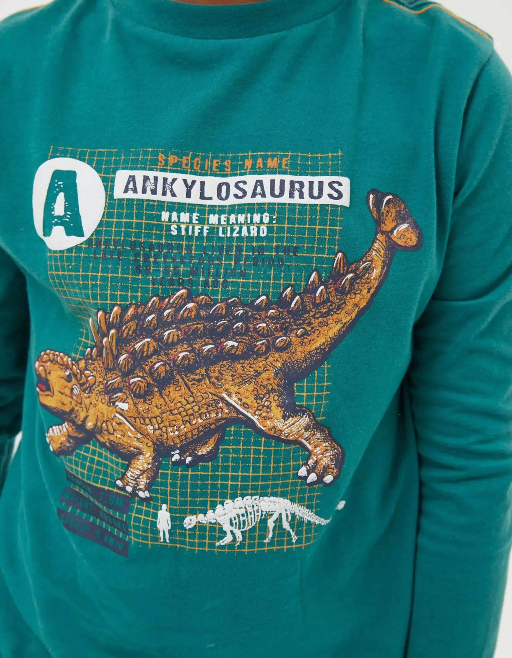 FatFace Ankylosaurus Graphic T Shirt|Boys View All