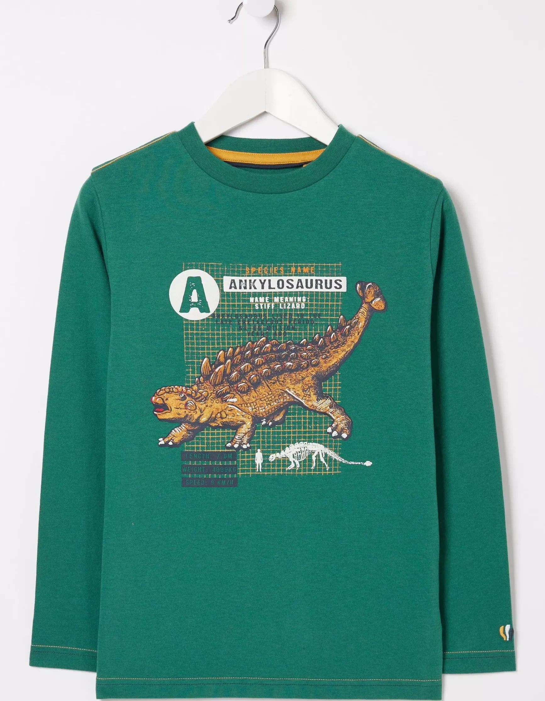 FatFace Ankylosaurus Graphic T Shirt|Boys View All