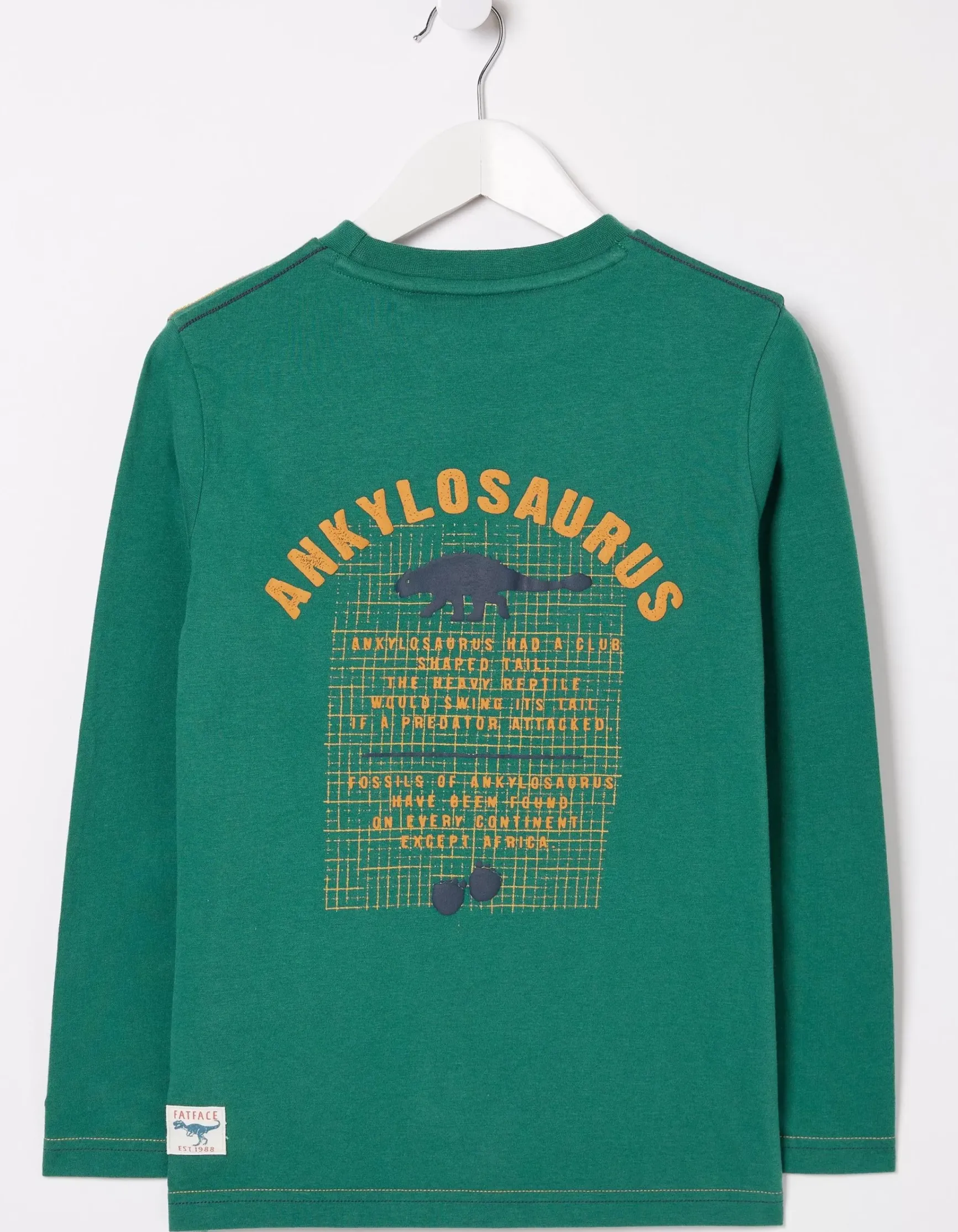 FatFace Ankylosaurus Graphic T Shirt|Boys View All