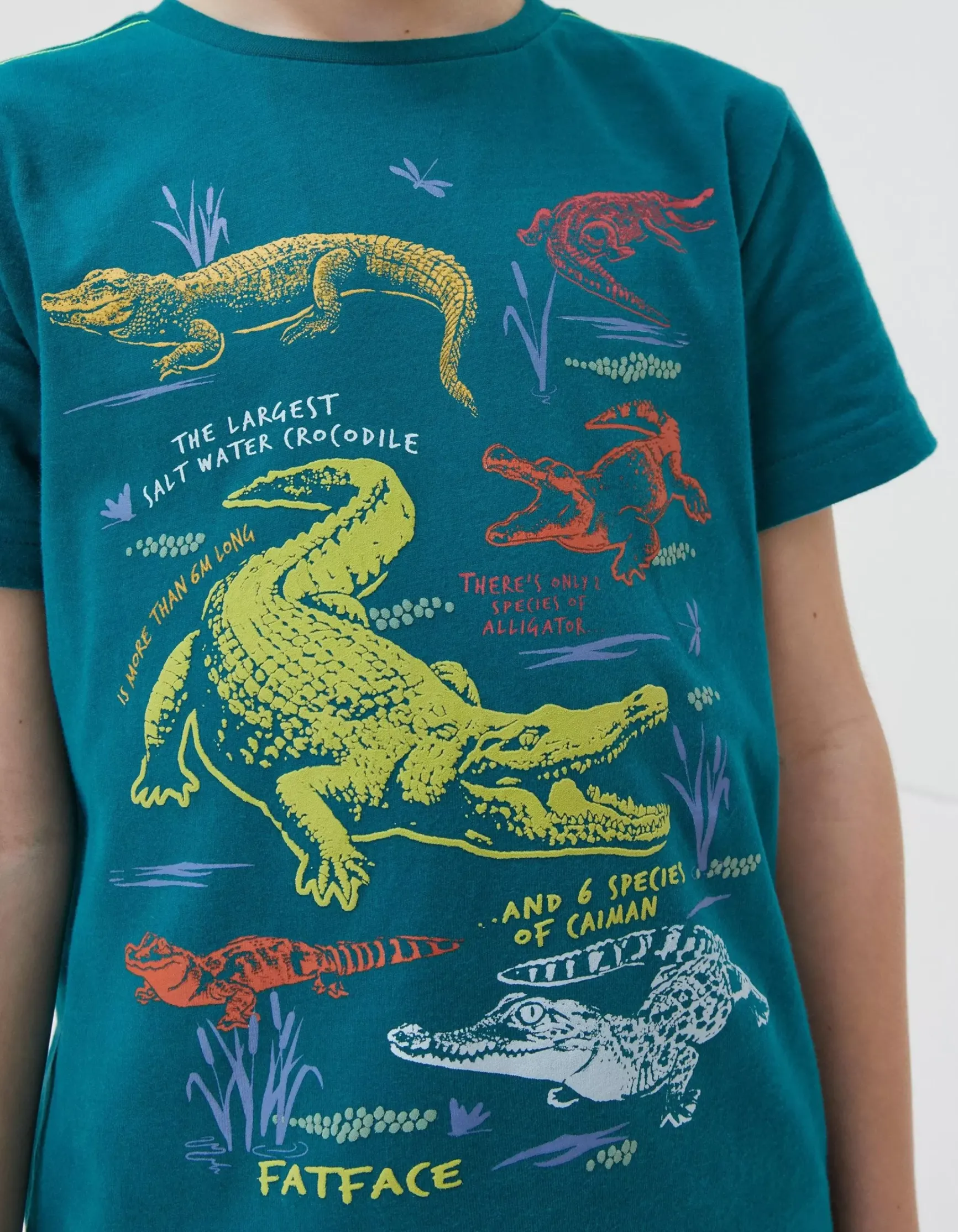 FatFace Crocodile Info Jersey T Shirt|Boys View All