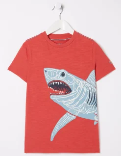 FatFace Glow-In-The-Dark Shark T-Shirt|Boys View All