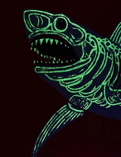 FatFace Glow-In-The-Dark Shark T-Shirt|Boys View All