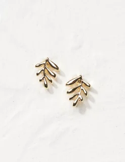FatFace Leaf Stud Earrings|Women View All