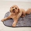 FatFace Marching Dogs Pet Blanket|Gifts View All