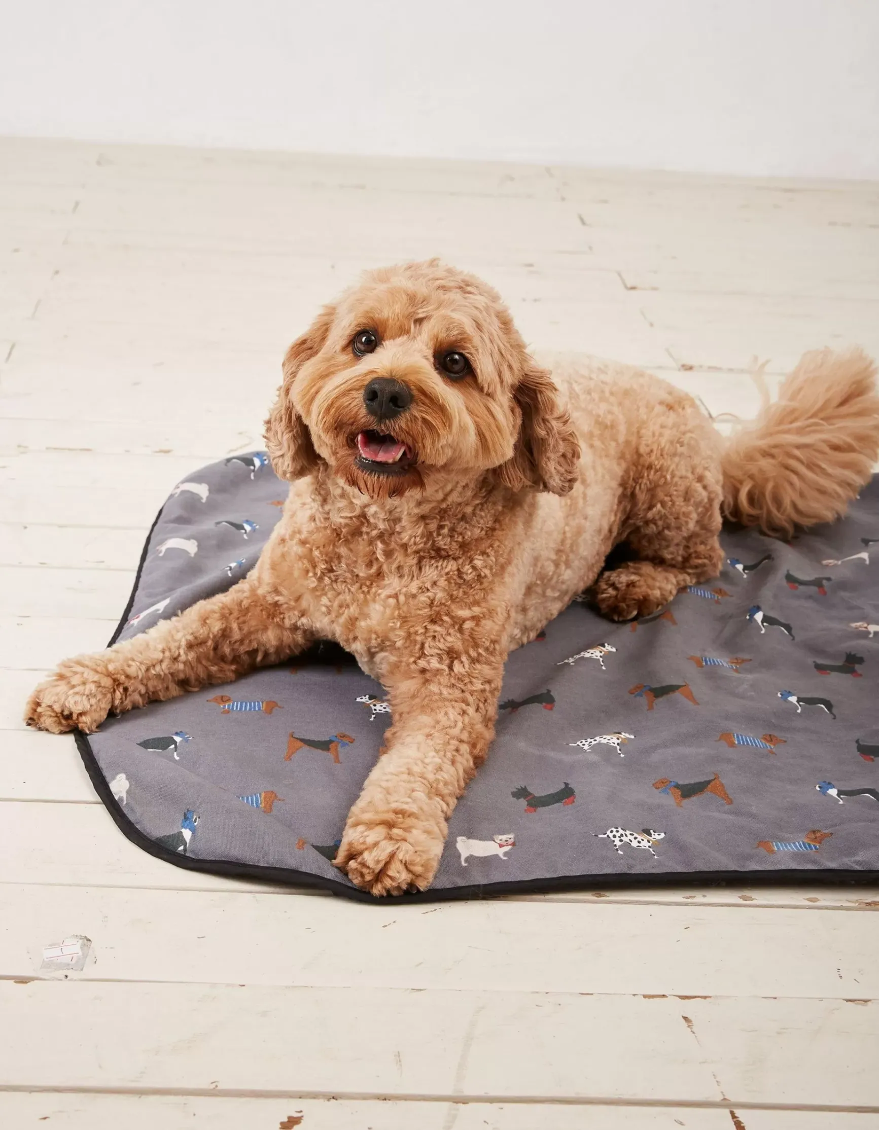 FatFace Marching Dogs Pet Blanket|Gifts View All