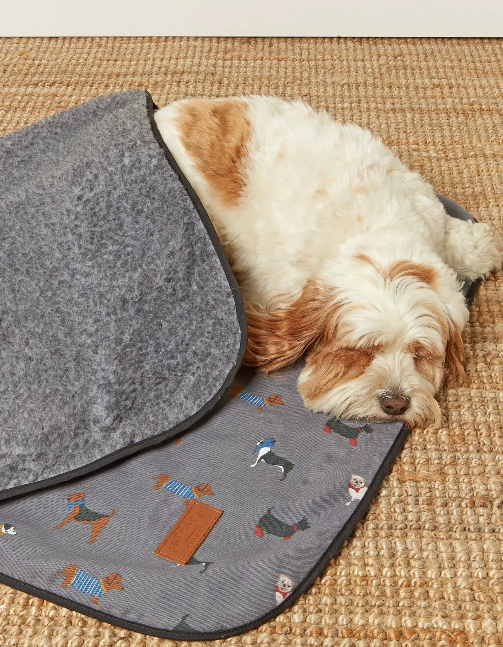 FatFace Marching Dogs Pet Blanket|Gifts View All