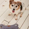 FatFace Marching Dogs Print Dog Toy|Gifts View All