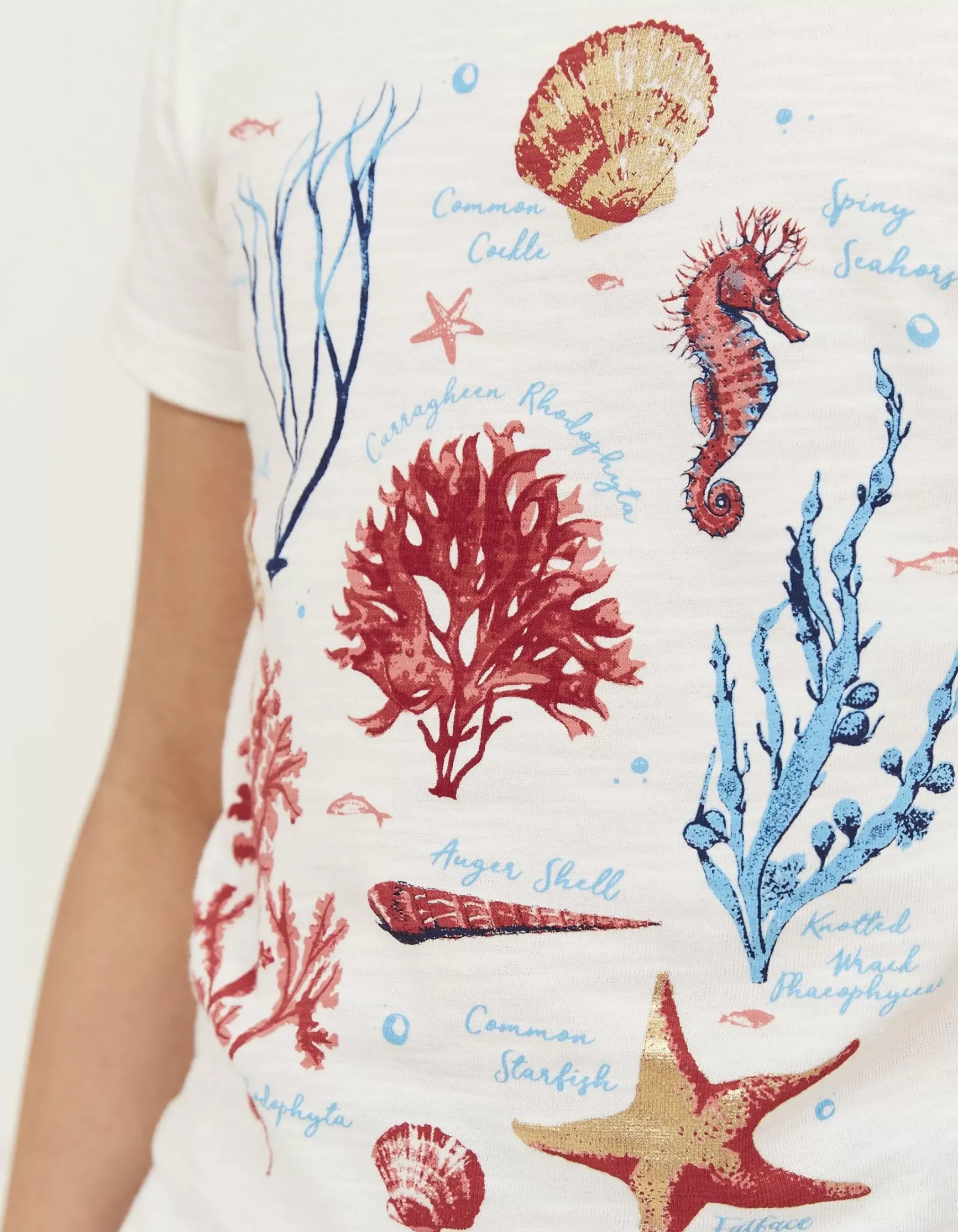 FatFace Marine Conservation Society Sealife Graphic T-Shirt|Girls View All