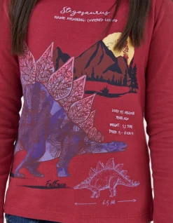 FatFace Stegosaurus Graphic T Shirt|Boys View All
